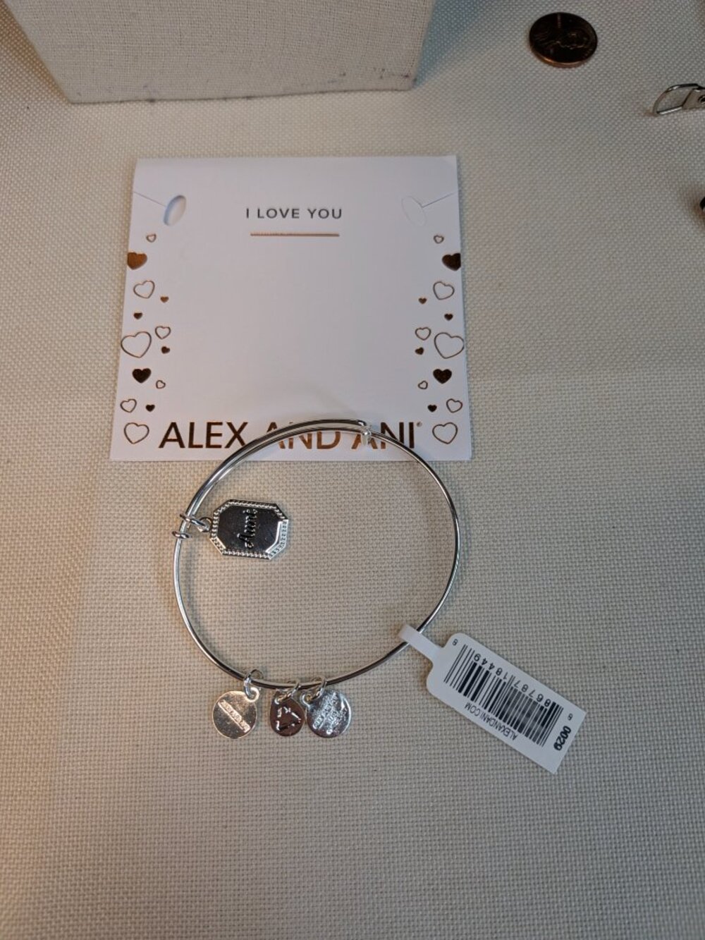 Alex and Ani “Because I Love You Aunt” Charm Bracelet – Sterling Silver Finish